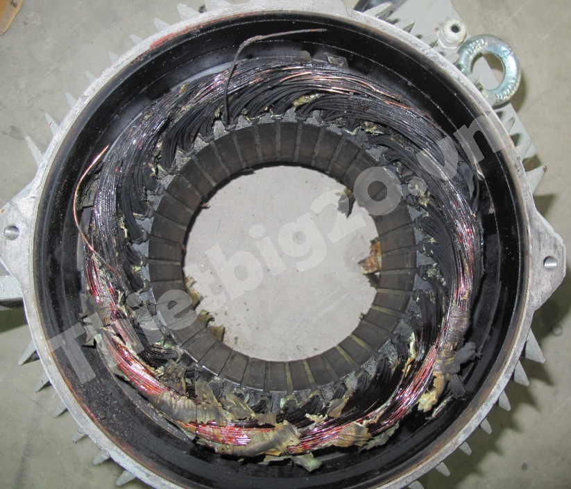 ch&aacute;y m&ocirc; tơ